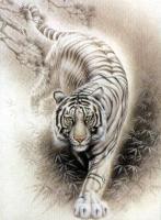 tiger.'s Avatar